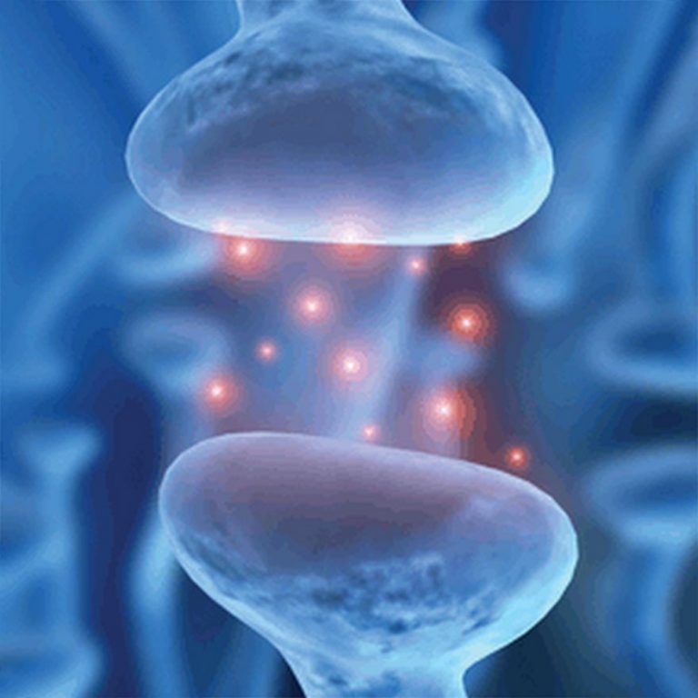 Dopamin Naturheilzentrum Breidenbach