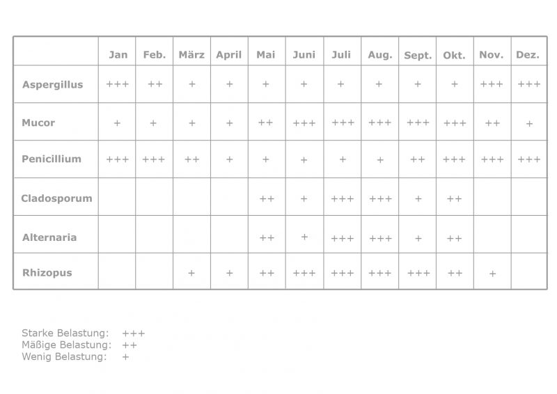 Schimmelpilzallergie – Naturheilzentrum Breidenbach