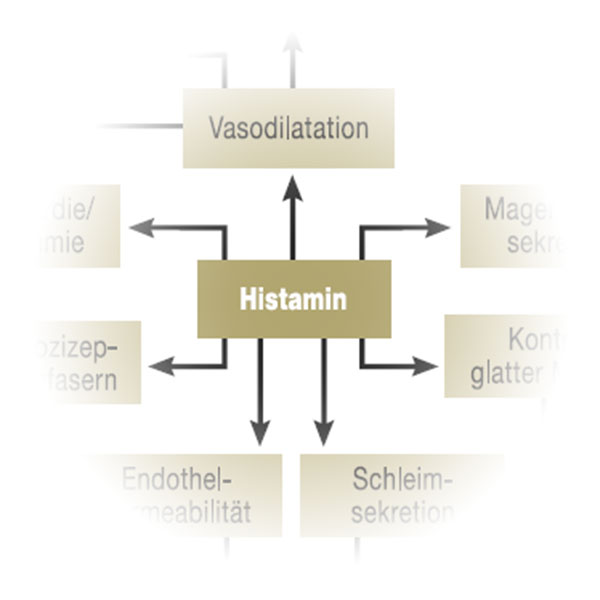 Histaminunvertraeglichkeit Histaminose Histaminintoleranz