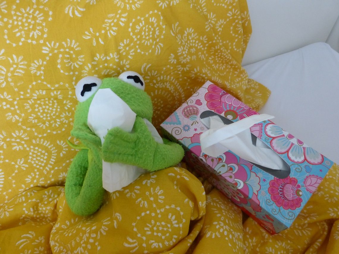 Kermit der Frosch niest in ein Taschentuch